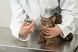 Easyinsmile Pet Medical Feeding Kit Pet Pill/Tablet Syringe with Soft Tip for Dog Puppy Cat random color