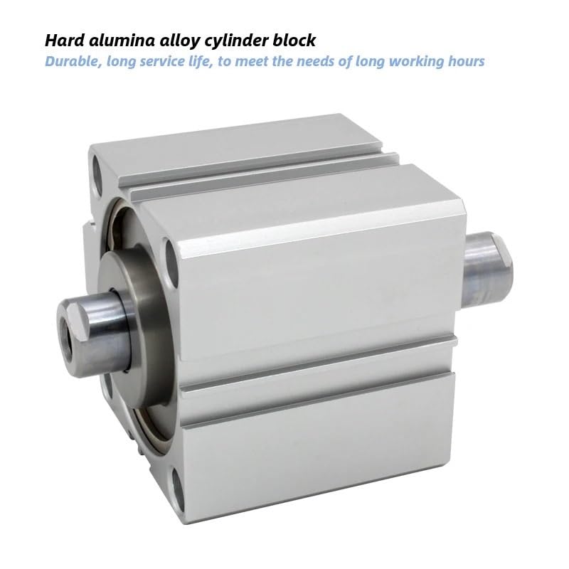 Vérin compact double tige SDAD40 pour stopper les vibrations et déviations d'axes - 4