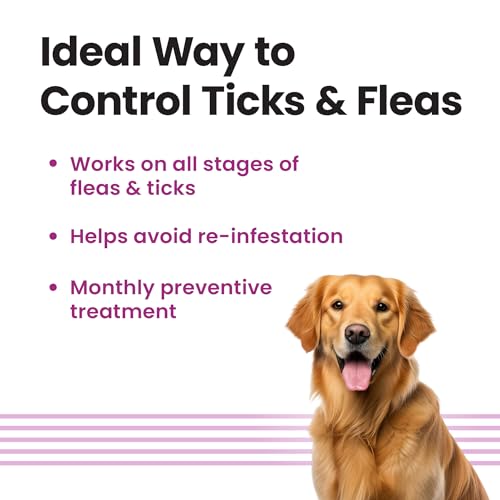 Image of Vivaldis Spot On for Dogs 20-40kg - VI-FI Forte 2.68ml Single Pipette - Solution for The Prevention and Treatment of Flea, Tick, and Chewing Lice Infestations (Pack of 1)