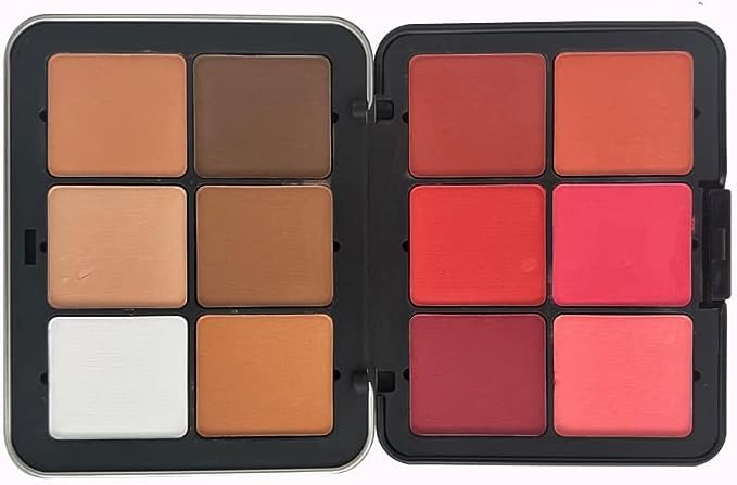 Daroge Professional Makeup Blush & Contour Palette, Rechargeable/Refillable Invisible Cover Advanced Look 12 Color Blush, Contour & Powder Palette 0.84oz