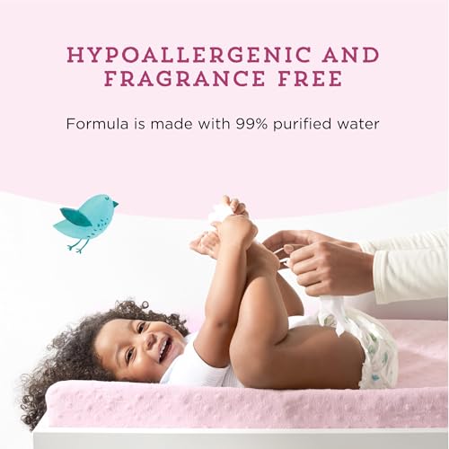Image of Amazon Brand - Mama Bear 99% Water Baby Wipes, Hypoallergenic, Fragrance Free,720 Count Total (10 Packs of 72 Wipes Each)
