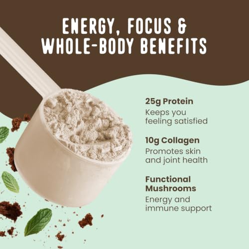 Image of FlavCity All in One Protein Shake Powder, Mint Chocolate - On the Go Meal Alternative + Collagen Peptides, Reishi & Cordyceps - Focus, Skin, Hair & Joint Support - 100% Grass Fed Whey, 20 Servings