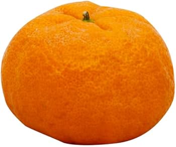 Amazon.com: Generic Fresh Golden Nugget Mandarin Oranges 4 lbs Bag