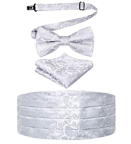 Image of Alizeal Mens Multicolored Silk Solid Cummerbund Bow Tie Set