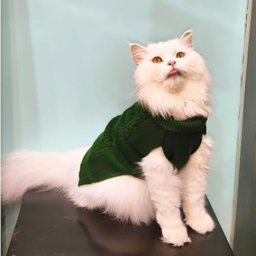 Image of Lulala Turtleneck Dog Sweater, Dog Winter Clothes for Small Dogs Boy Girl, Warm Dog Sweater for Small Dog (Green-22 Inch)