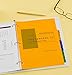 Avery Pre-Printed Jan-Dec Plastic Dividers for 3 Ring Binders, 12-Tab Set, Multicolor, 1 Set (11331)