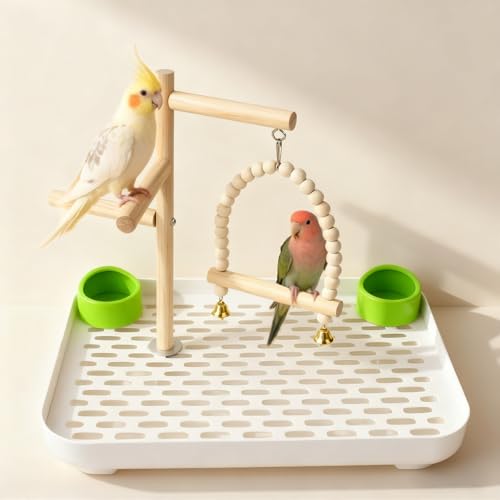 Dmnnlp 4 In 1 Bird Playground Stan with Large Tray, Food Bowl, Wooden Bird Play Stand and Swing, Play Gym & Accessories for Parrots Cockatiels Conures Parakeets Lovebirds