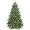 SHareconn Albero di Natale Artificiale 100% PE 165 cm - 3051 Punte, Rami Densi e Realistici, Alberi di Natale con Supporto in Legno, Montaggio Rapido, Riutilizzabile