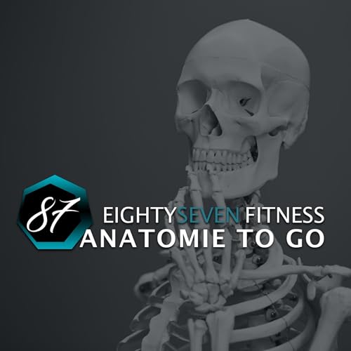 Die Knochen des Fu&szlig;es