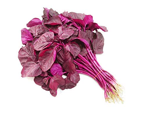 Golden Hills Farm® (AVG 10000-20000) seeds Amaranthus(Red) Seeds Microgreens Home Garden Seeds (B0867K5PW3) Amazon Price History, Amazon Price Tracker