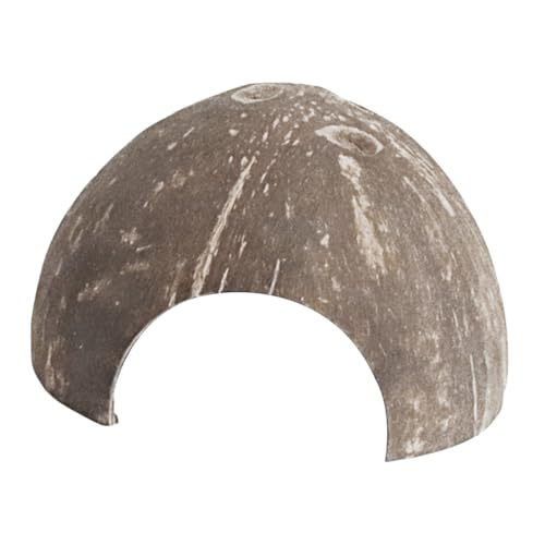 Kisangel ^ybgpRRibcVF঒ރVF^[ 13cm RȉBƓA gJQ nX^[ΉBPC