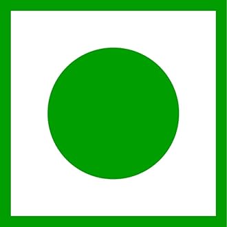 Sat Podina - Menthol Crystal - Peppermint - Sat Pudina - 50 Gram