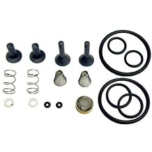 CPS Products TRS21 Valve Rebuild Kit - TR21X1 Each