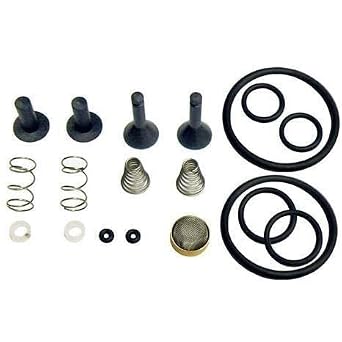 CPS Products TRS21 Valve Rebuild Kit - TR21X1 Each