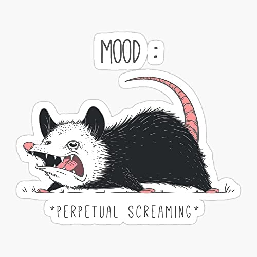 Funny Nature Animal Opossum Animals America Wildlife Possum - Sticker Graphic - Waterbottles, Hydroflask, Laptops, Phones, Cars, Lockers, Binders Decal Sticker
