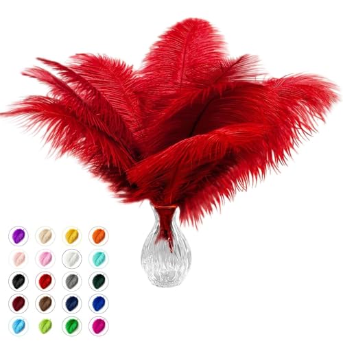 Piokio 20pcs Natural Red Ostrich Feathers 10-12 inch (25-30cm) Bulk Feathers for Wedding Party Centerpieces Home Decoration and DIY Clothing Gatsby Decorations