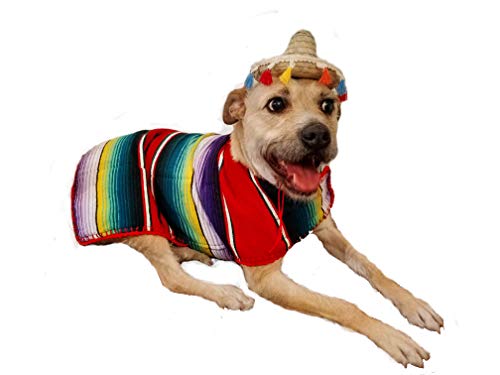 Poncho El Perro Handmade Dog Poncho From Mexican Serape- Dog Clothes cover