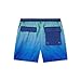 Southern Marsh Youth Harbor Swim Trunks - Faded Lines, Slate & Light Blue, Large