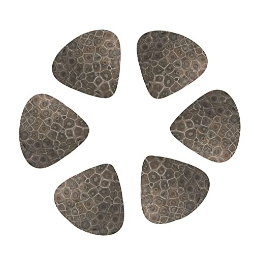 Médiators pour guitare 12-Pack Petoskey Stone médiators pour guitare électrique guitare acoustique diverses guitares - Les Beatles, Paul McCartney, John Lennon, RIngo Starr, George Harrison Médiators pour guitare 12-Pack Petoskey Stone médiators pour guitare électrique guitare acoustique diverses guitares