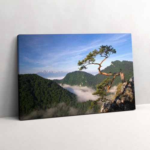 Tableau Photo sur Toile Sokolica Pieniny Wallfluent Déco Salon 60x40