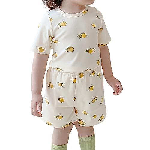 [MARBEINE] xr[ pW} ㉺Zbg 80`130cm xr[ j̎q ̎q TVc  V[gpc [EFA ĕ LbY  [EFA q ۈ牀