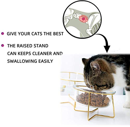 Glass Raised Cat Bowls Or Small Dog Dishes With Gold Metal Stand, 20 Ounces Transparent Pet Bowl,Anti Vomiting Tilted Elevated Food Or Water Bowl Set With Grey Silicon Clouds Waterproof Mat #TOP5