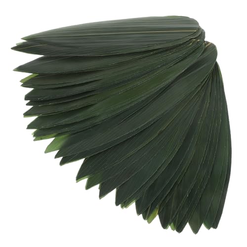 Cemaystic 100 ����|�t���i����M ? �a�H�����p�h�g�~�t�A���X�g���������E���R�f�ރv���[�g