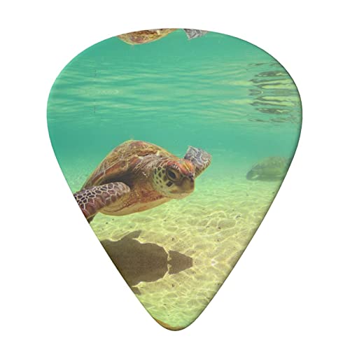 Lord Howe Island Sea Turtle Lot de 6 médiators pour guitare acoustique, guitare électrique, basse, ukulélé – fin, moyen… - Les Beatles, Paul McCartney, John Lennon, RIngo Starr, George Harrison Lord Howe Island Sea Turtle Lot de 6 médiators pour guitare acoustique, guitare électrique, basse, ukulélé – fin, moyen… – Image 4