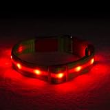 Blazin Light Up Dog Collar - The Original LED Dog Collar - USB Rechargeable - Waterproof - 1,000 Feet of Visibility - Dog Collar Light for Small, Medium, Large Dogs - USA Brand