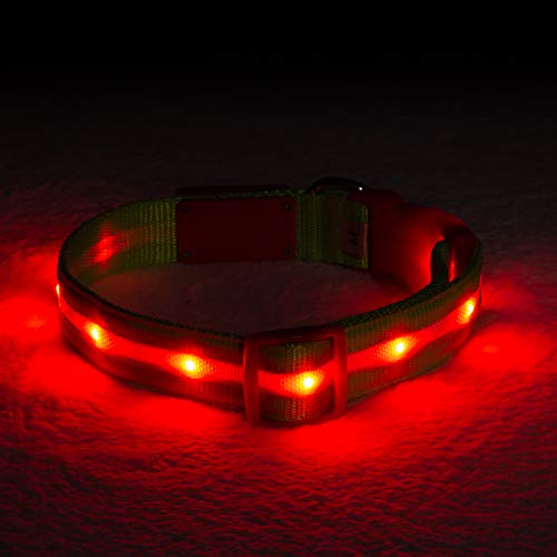 Blazin' Safety LED Hundehalsband - USB wiederaufladbar mit wasserfestem Blinklicht, Medium, Weihnachten