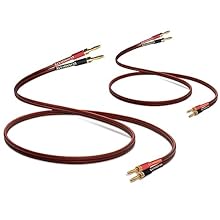 Package Include - 2 Pack 3m / 9.8FT OFC HiFi Speaker Cable with Gold-Plated Banana Tip Plugs. Come with one pair (2 pack) OFC Speaker Wire cable with Banana Plugs suitable for connect with two speakers. Each cable has 2 banana plugs connectors at bot...