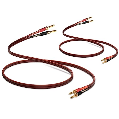 Confezione da 2 cavi di alta qualità in puro rame HIFI OFC con spina a banana, connettori placcati oro, maschio a maschio, 600 fili, 15 AWG, per altoparlanti audio, sistema HIFI Home Theater (3 m)