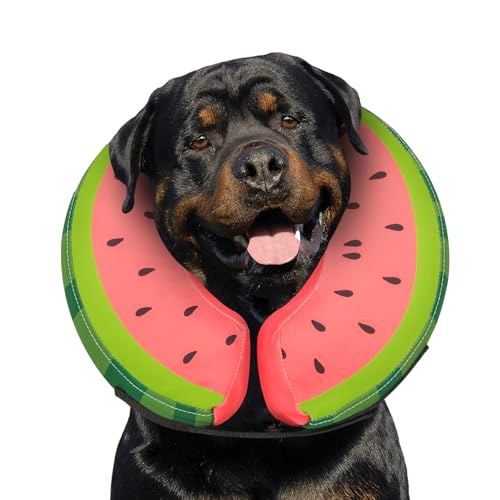 Image of MIDOG Inflatable Dog Cone After Surgery, Donut Collar for X-Large Dogs, XL