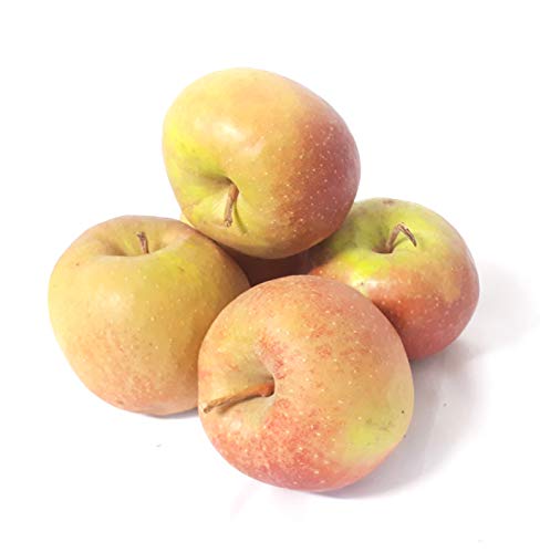 Äpfel Boskoop Boskop vom Bodensee säuerlicher Apfel 1-10 KG (5) Cover
