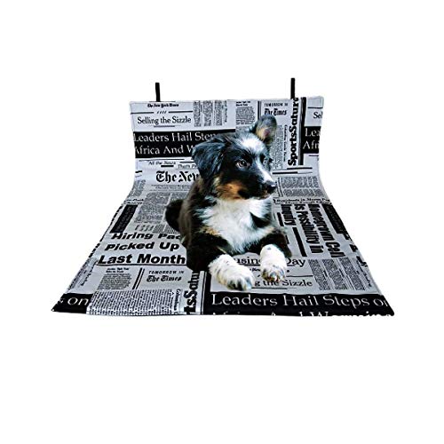 Tapete Higiênico Lavável La'Belle Pet M (70 X 70 Cm) Jornal