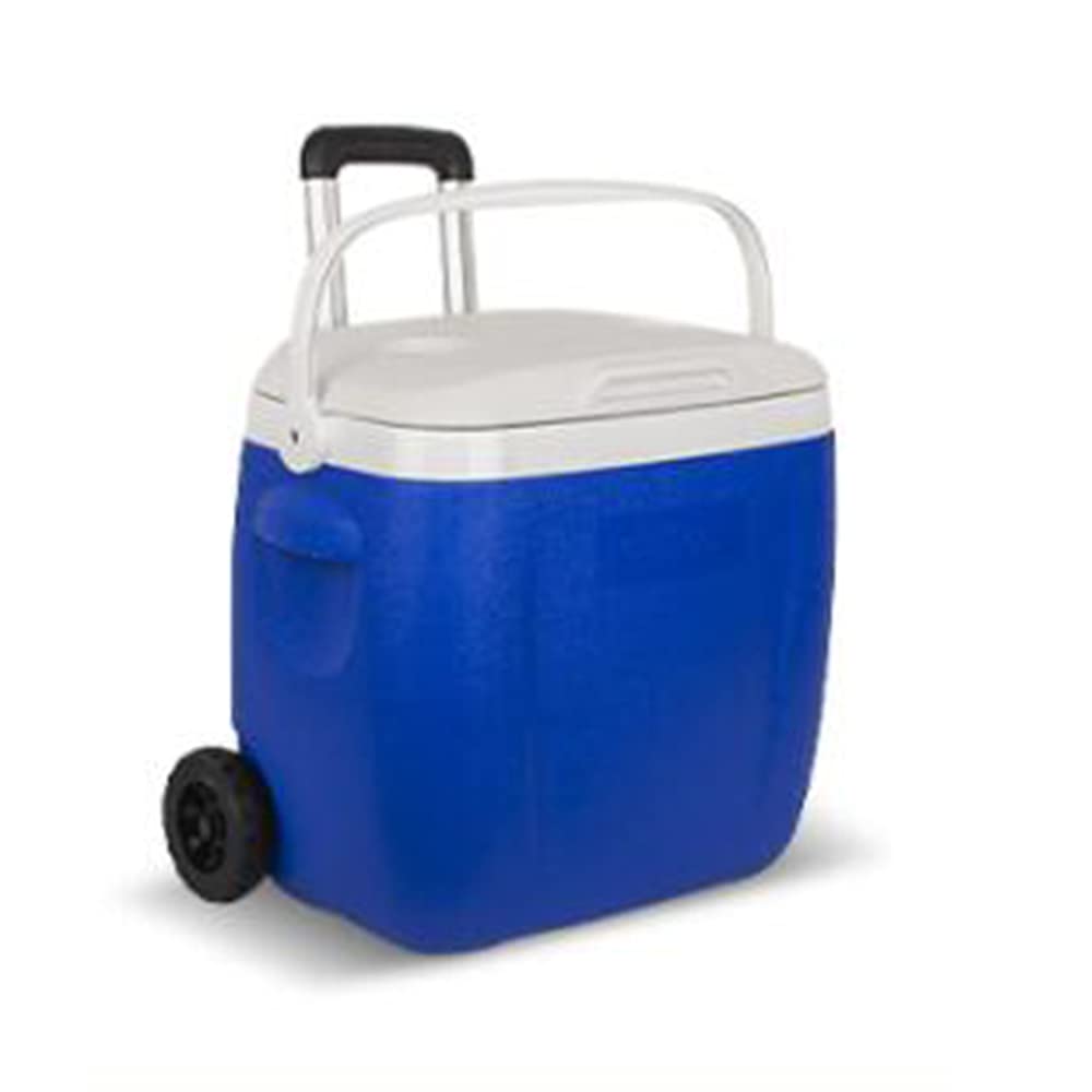 FBITE Nevera Grande de 38 l, Picnic, Playa, Camping, Nevera para Hielo Totalmente aislada, refrigeración y Calentamiento, Nevera para Coche, Actividades al Aire l