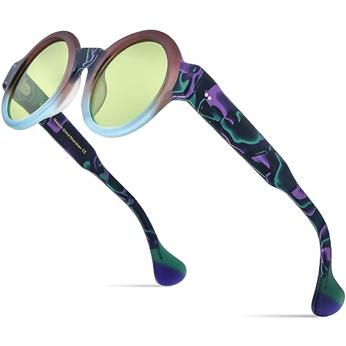 HEPIDEM Matte Acetate Vintage Retro Round Polarized Sunglasses for Women 9270T4