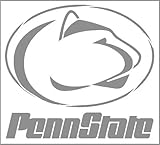 8'x9' Clear Plastic Stencil - Penn State (SC734)***** Custom Stencil for Spray Painting Stencil for Painting on Wood, Glass, Wall, Fabric, Rock, Sign, DIY Art Projects