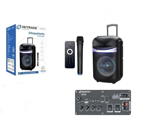 POTENZA AUDIO: Sistema audio da 100W con altoparlante da 12 pollici per una riproduzione sonora potente e chiara