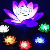 Además de la decoración e iluminación de su estanque de jardín, también sirve como luz especial para deseos.