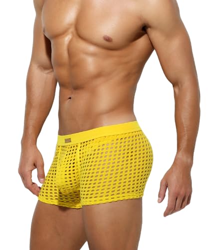 Arjen Kroos Men's Sexy Underwear Mesh Breathable Boxer Briefs Sof...