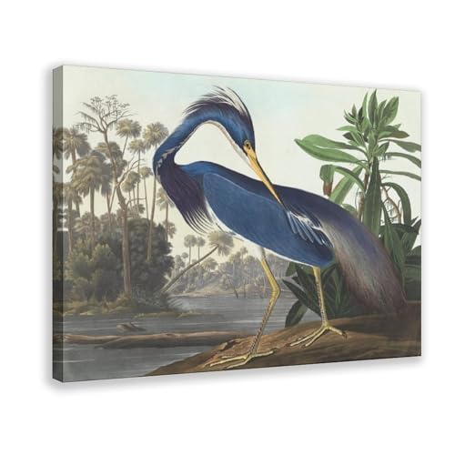 Impression sur toile Héron de Louisiane Audubon : habillez vos petits murs nus