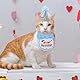 Katzen Geburtstag 3 Stück, Hunde-Geburtstag mit 9 Bling Nummern, Hundegeburtstag Blau Bandana Katzen Geburtstag Deko für Mädchen Jungen Kätzchen Geburtstagsmütze Deko