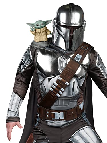 Photo complémentaire