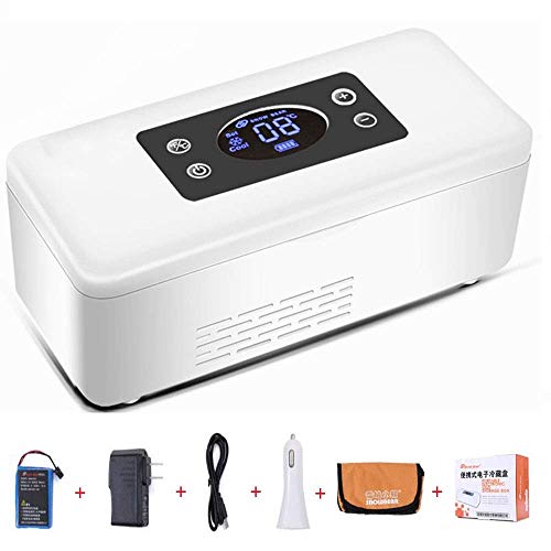 BX Drug Reefer Insulin-Kühlbox und tragbarer Medikamentenkühlschrank 2–25 ° C Thermostat Drug Reefer Tragbare Autokühlschränke Gehäusekühler AS