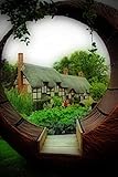Andrew Evans Photos