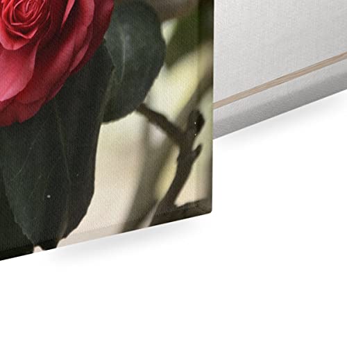 Rose Rouge Sombre Amour Passion Tableau Toile Décoration Murale