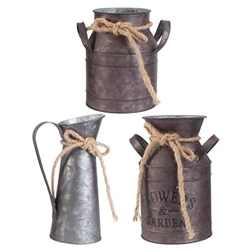 Hemoton 3 Stücke Vintage Blumenvase Eisen Blumentopf Milchkanne Landhausstil Deko Vase Rustikal Blumeneimer Metall Eimer Übertopf Dekovase Kaktus Topf für Garten Wohnzimmer Tischdeko