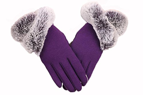 YQXCC Winter Men's Leather Gloves Touch Screen Outdoor Sports Cycling Windproof Warm Gloves (Purple)