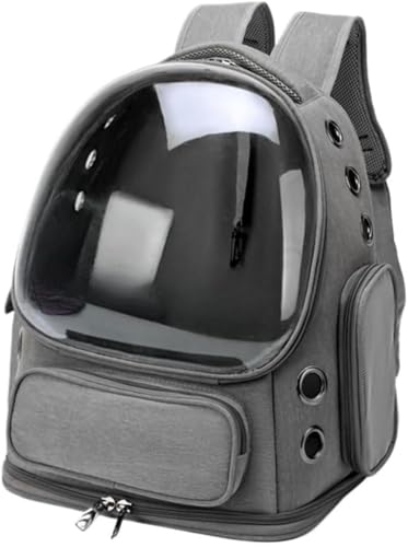 Xiraivke LobNpbN LobNpbN LV_[obO LFD LobNpbN LobNpbN NAn[hVF^[ obNpbN 3 F (O[)